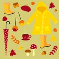 Fall vector illustration. Warm autumn set