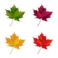 Vector autumn set leaves. Leafs set element floral color garden Royalty Free Stock Photo