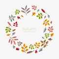 Vector autumn template. Modern stylized colorful leafs. Royalty Free Stock Photo