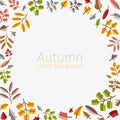 Vector autumn template. Modern stylized colorful leafs. Royalty Free Stock Photo