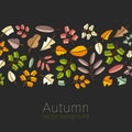 Vector autumn template. Modern stylized colorful leafs. Royalty Free Stock Photo