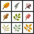 Vector autumn template. Modern stylized colorful leafs. Royalty Free Stock Photo