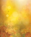 Vector autumnal background.