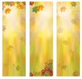 Vector autumnal banners. Royalty Free Stock Photo