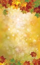 Vector autumnal leaves background.