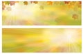 Vector autumnal leaves banners. Royalty Free Stock Photo