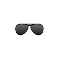 Vector aviator sunglasses icon