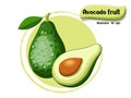 Vector Avocado fruit isolated on color background,illustrator 10 eps Royalty Free Stock Photo