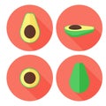 Vector avocado fruit set in flat style with circles isolated