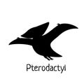 Vector baby dino silhouette - pterodactylus - for logo, poster, banner. For historic event, dinosaur party invitation, fashion Royalty Free Stock Photo