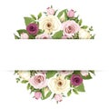 Background banner with pink and white flowers. Vector illustration. Royalty Free Stock Photo