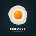 Vector background with beautiful realistic fried egg.