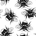 Vector background with Bumlebee drawings. Hand drawn insect sketch isolated on white. Engraving style bumble bee illustrations. Vi Royalty Free Stock Photo