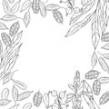 Vector background with cardamom