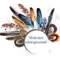 Vector background with colorful feathers