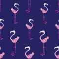 Seamless pattern of drawn pink flamingos Royalty Free Stock Photo