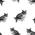 Seamless pattern of owls sketches