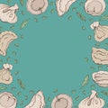 Vector background of dumplings with spice. Cartoon hand drawn Ravioli on blue. Vareniki. Pelmeni. Meat dumplings. Food