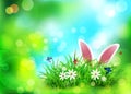 Vector background for Easter. Template. Rabbit ears sticking out