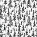 Vector background of the fir forest sketches