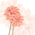 Vector background with flower