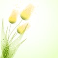 Vector background with Flower