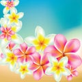 Vector background with flowers