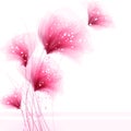 Vector background with flowers