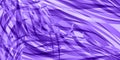Vector background of flowing purple lines.