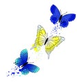 Vector background with flying butterflies