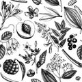 Vector background with fragrant fruits and flowers. Hand sketched perfumery and cosmetics ingredients backdrop. Aromatic and