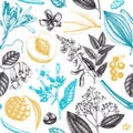 Vector background with fragrant fruits and flowers. Hand sketched perfumery and cosmetics ingredients backdrop. Aromatic and