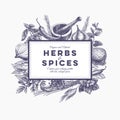 Vector background with hand drawn herbs and spices