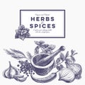Vector background with hand drawn herbs and spices