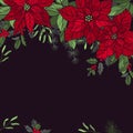 Vector background with red poinsettias and Christmas plants. Sketch illustration