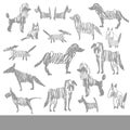 Vector background with hand drawn sketch dogs Royalty Free Stock Photo