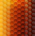 Vector background with honeycombs