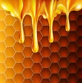 Vector background with honeycombs and honey