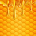 Vector background with honeycombs and honey