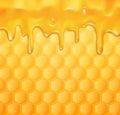 Vector background with honeycombs and honey