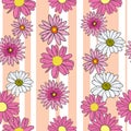 Vector white background pink daisy flowers and wild flowers. Seamless pattern background Royalty Free Stock Photo