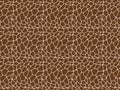 Vector background illustration design of wild African giraffe skin Royalty Free Stock Photo