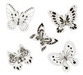 Vector background with the image set of black and white butterflies Royalty Free Stock Photo