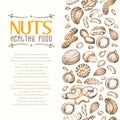 Vector background with nuts arranged vertically Royalty Free Stock Photo