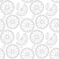 Vector background. Oranges fruit seamless pattern