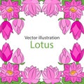 Vector background. Pink flowers, lotus and green leaves. Retro. Vintage style. Royalty Free Stock Photo
