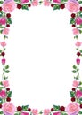 Vector background with pink and red rose flowers and green leaves frame Royalty Free Stock Photo