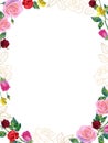 Vector background with pink and red rose flowers, green leaves and golden roses in line style. Royalty Free Stock Photo