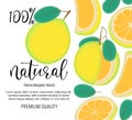 Vector background with pomelo, whole and pieces. Vector stock illustration isolated on white background.