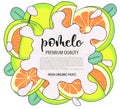 Vector background with pomelo, whole and pieces - Vector stock illustration isolated on white background. Card design